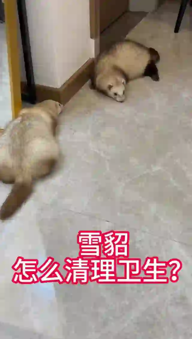 迷恋辅助网-迷恋辅助：探索生活中的爱和激情