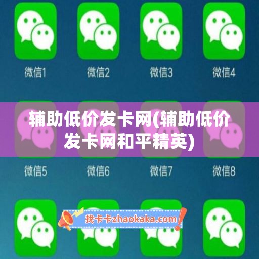 辅助低价发卡网(辅助低价发卡网和平精英)