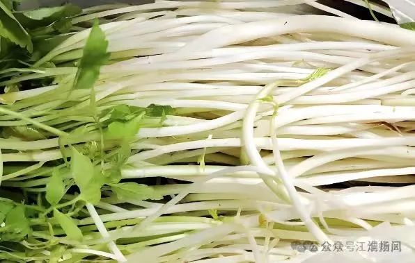 买挂-唐平|美味芹芽