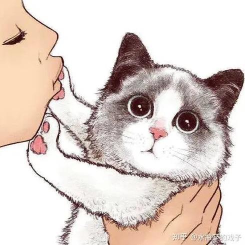 吃鸡挂软件